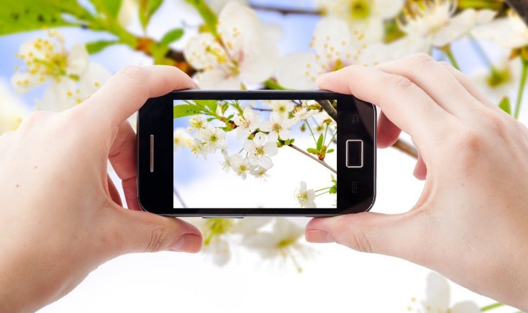 Desvendando tecnologias: o que são estabilização de imagens óptica e digital?