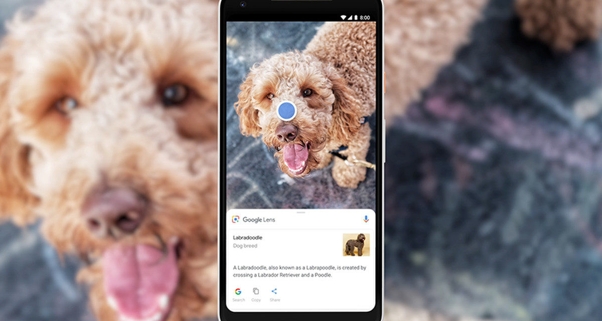 Google Lens – Baixe o app de forma independente na Play Store