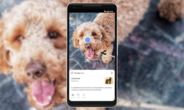 Google Lens – Baixe o app de forma independente na Play Store