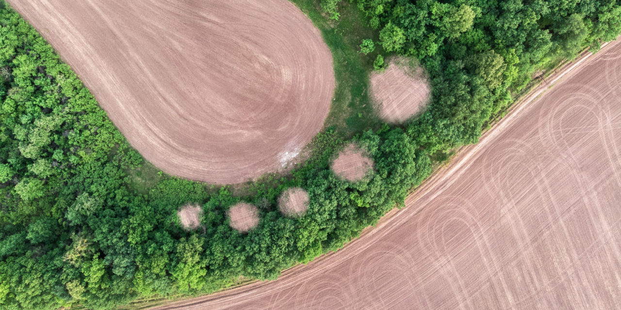O que é a pegada ecológica e como calculá-la?
