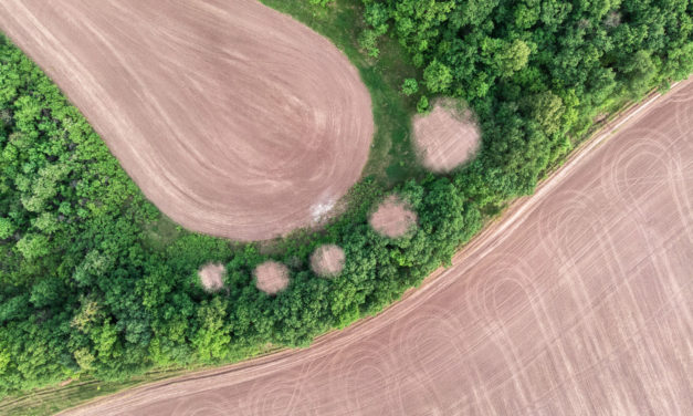 O que é a pegada ecológica e como calculá-la?
