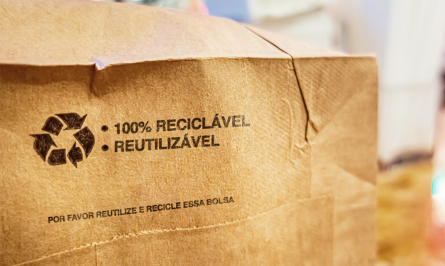 Produtos sustentáveis: o que são, dicas e mais