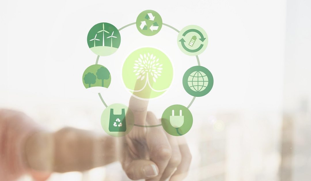 Economia Circular: o que é, objetivos e exemplos