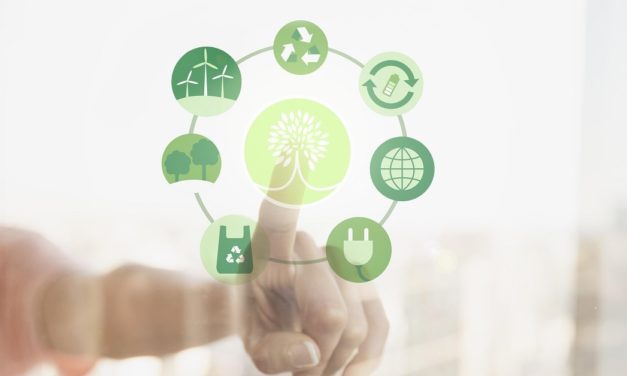 Economia Circular: o que é, objetivos e exemplos