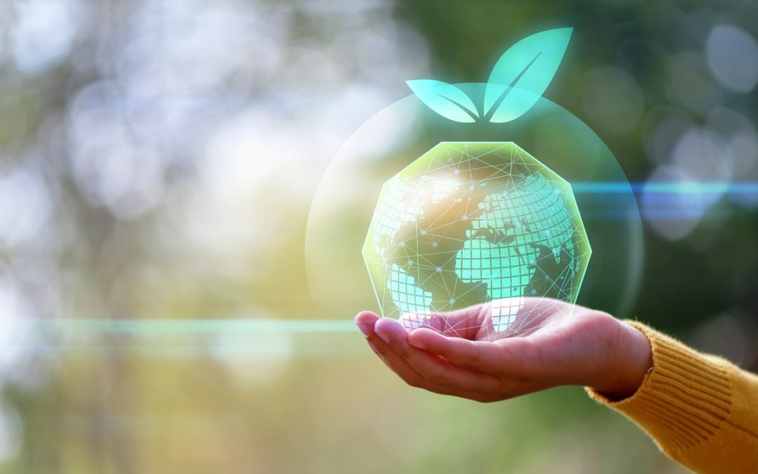 Economia sustentável: o que é e qual a sua importância?
