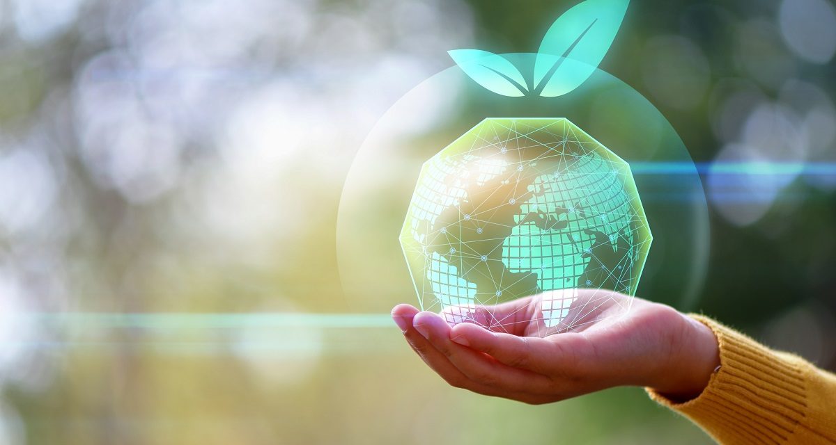 Economia sustentável: o que é e qual a sua importância?