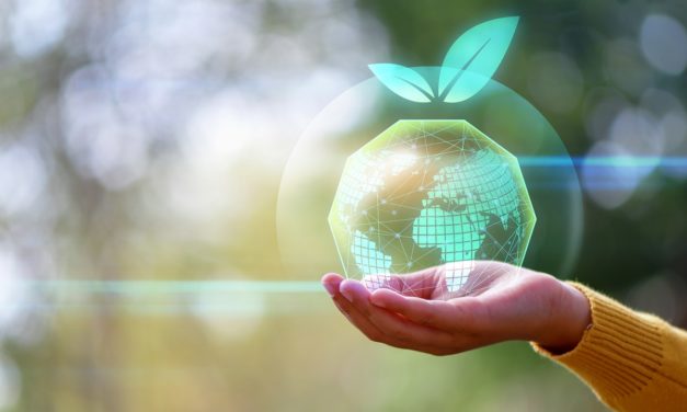 Economia sustentável: o que é e qual a sua importância?
