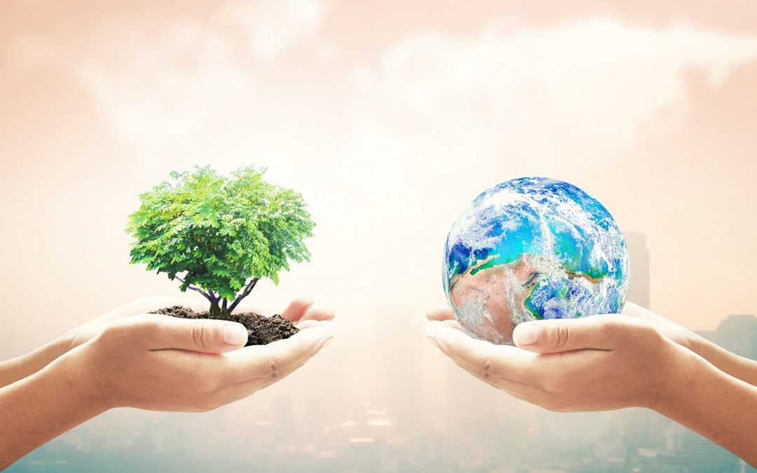 Dia da Terra: como contribuir para um planeta melhor?