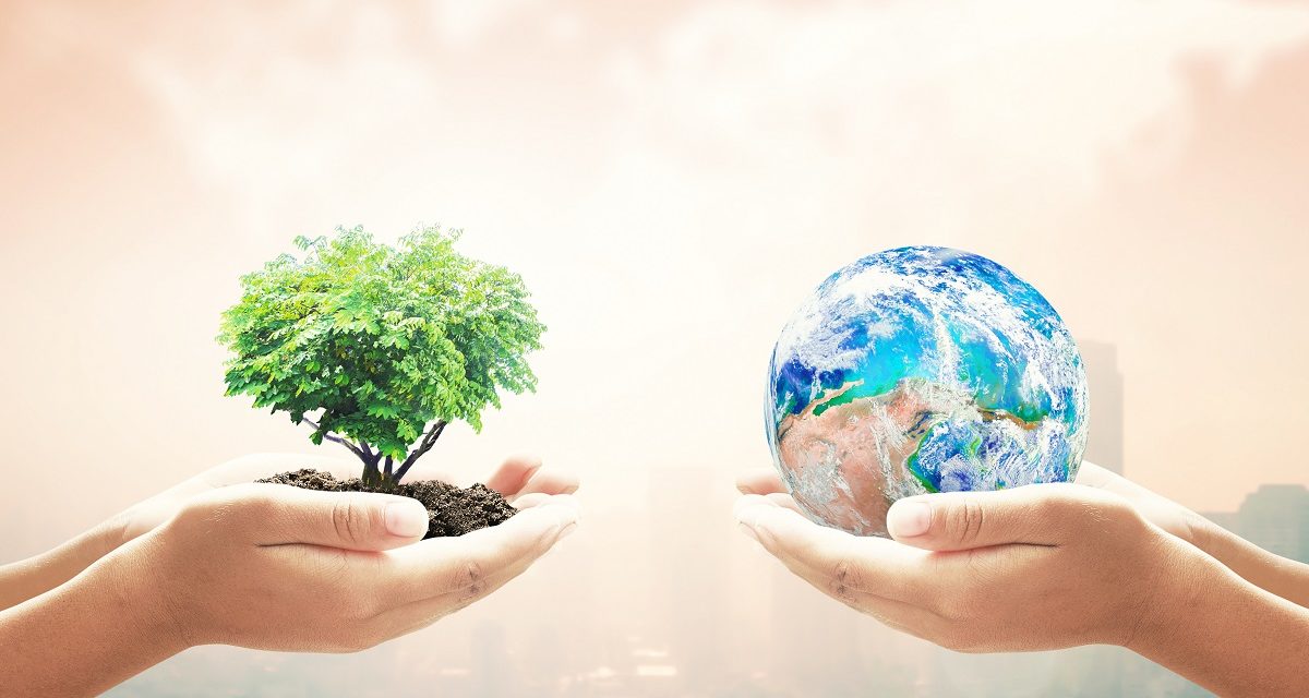 Dia da Terra: como contribuir para um planeta melhor?
