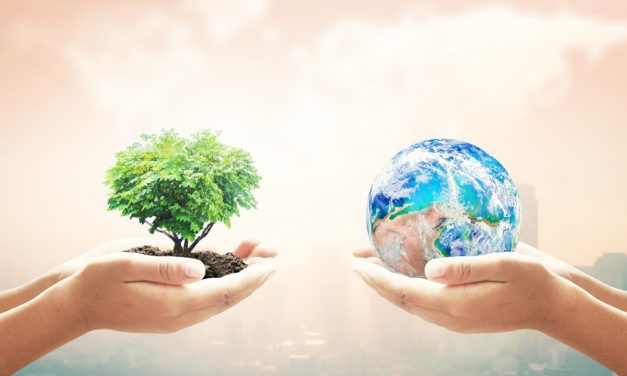 Dia da Terra: como contribuir para um planeta melhor?