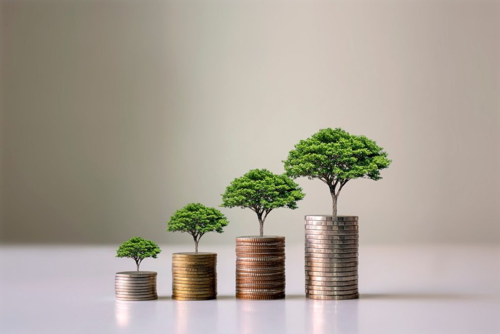 Coin tree. A árvore cresce na pilha. Economizando dinheiro para o futuro. Ideias de investimento e crescimento dos negócios. Fundo verde.