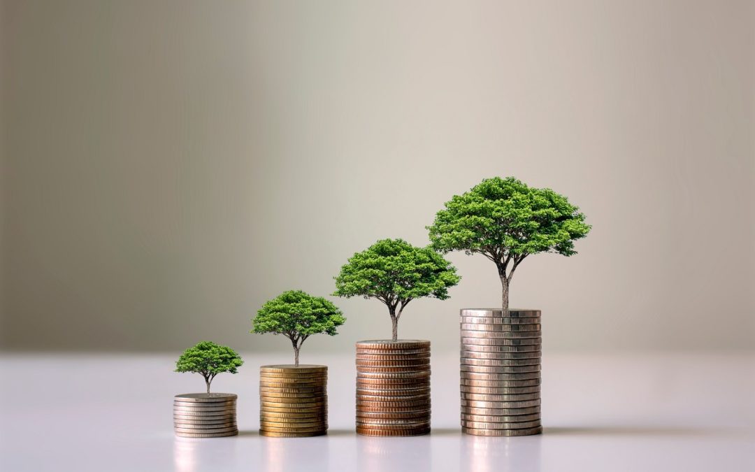 Qual a relação entre economia e meio ambiente? Entenda!