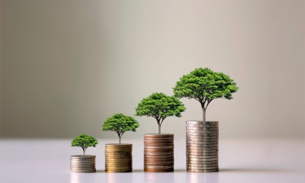 Qual a relação entre economia e meio ambiente? Entenda!
