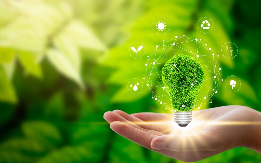 Tecnologia sustentável: o que é, exemplos e por que adotá-la