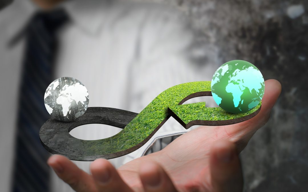 Economia linear e circular: Qual a diferença entre elas?