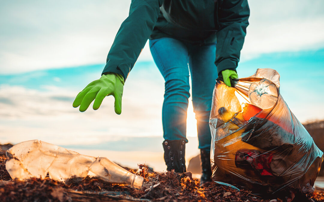 Dia Mundial da Terra: as reflexões sobre o desenvolvimento sustentável