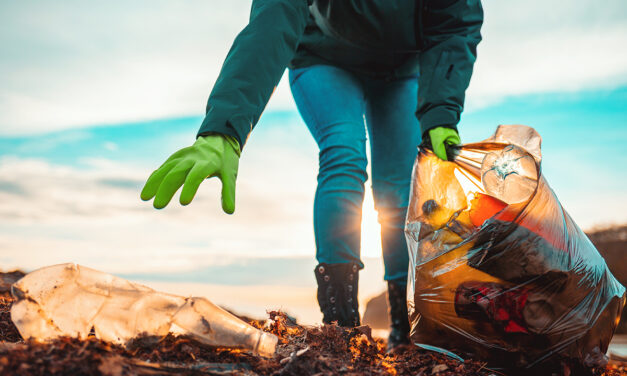 Dia Mundial da Terra: as reflexões sobre o desenvolvimento sustentável