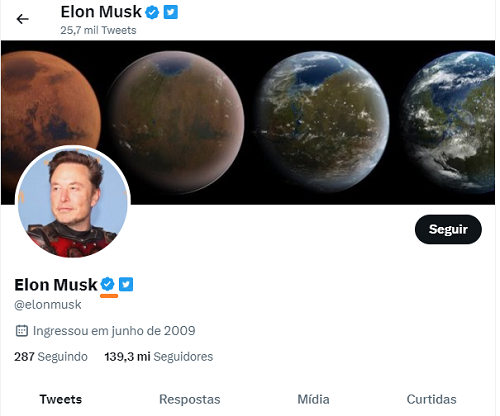 Printscreen do perfil de Elon Musk no Twitter
