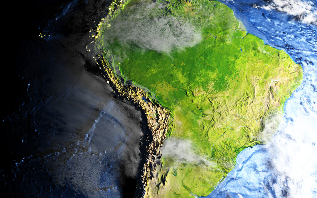 Pegada de carbono: tudo o que você precisa saber sobre o assunto